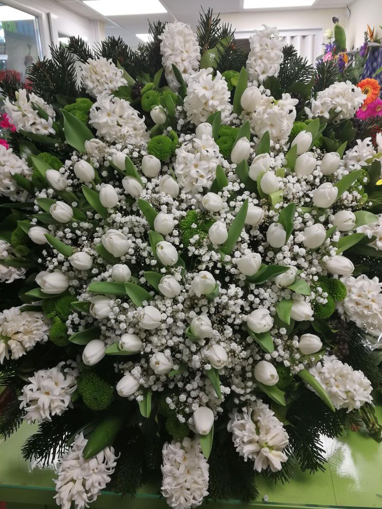 Álló koszorú fehér tulipán