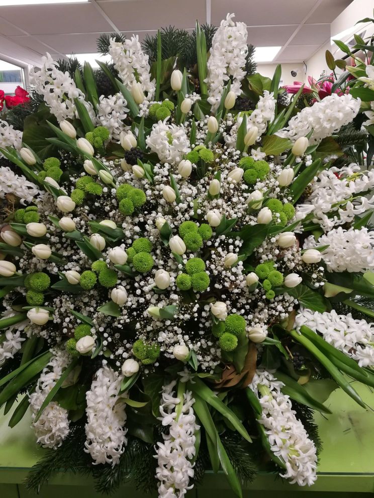 Álló koszorú fehér tulipán