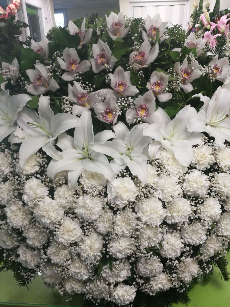 Álló koszorú fehér orchidea
