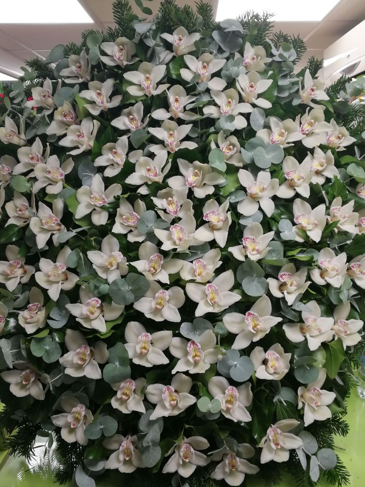 Álló koszorú fehér orchidea