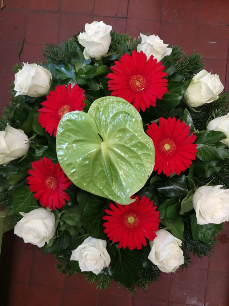 Fekvő koszorú anthurium