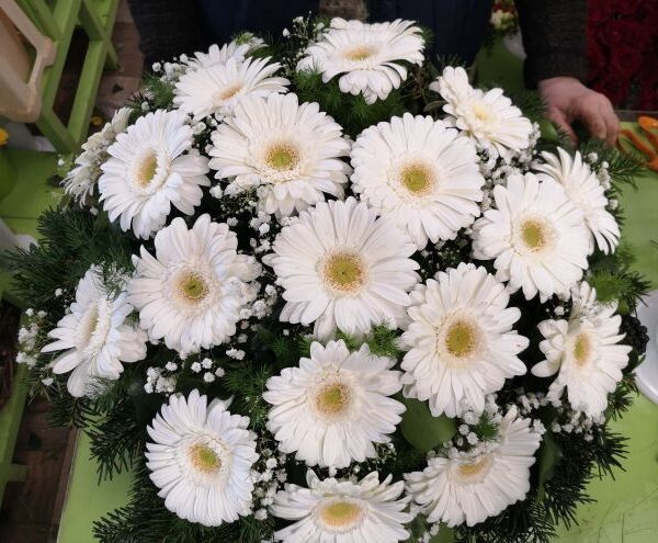 Fehér nagyfejű gerbera fekvő koszorú (FK-184)
