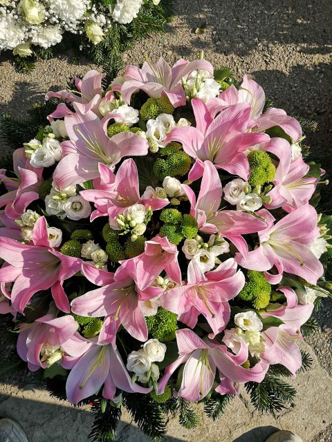 pink színű liliom