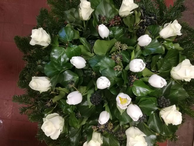 fekvő koszorú fehér tulipán