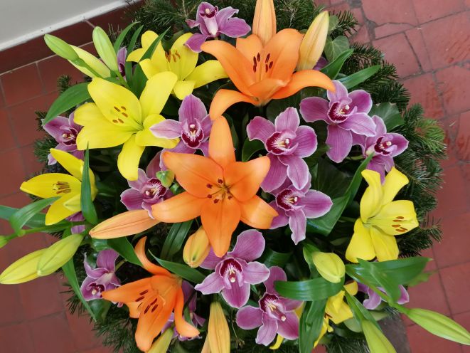 fekvő koszorú sötét rózsaszín orchidea
