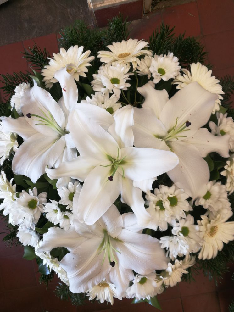fekvő koszorú fehér nagyfejű gerbera