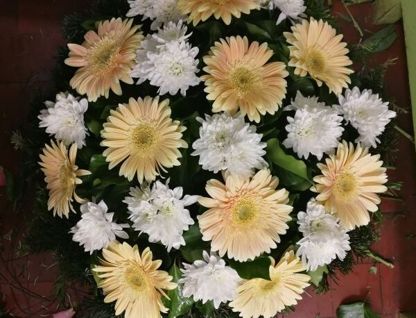 Krém gerbera fekvő koszorú (FK-82)
