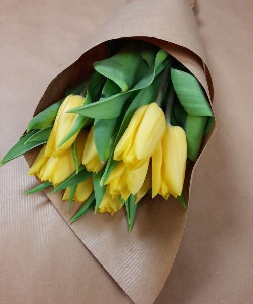 Tulipán csokor 10 szál sárga (CSE-38)